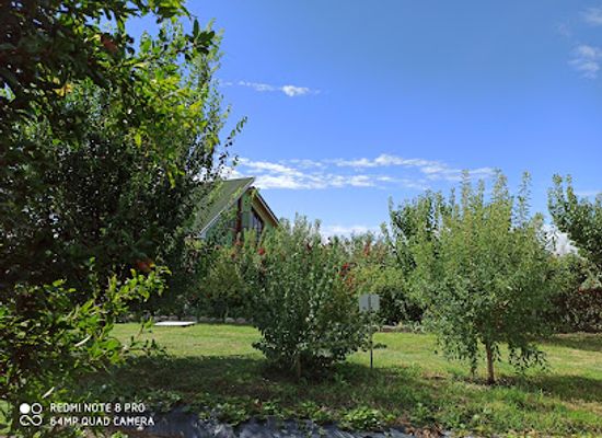 azerbaijan/sheki-zagatala-region/shop/bio-garden