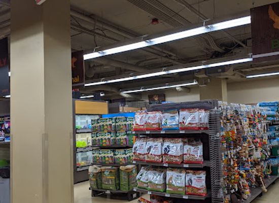 alaska/southwest-alaska/shop/petco