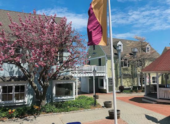 massachusetts/metrowest/shop/locally-yours