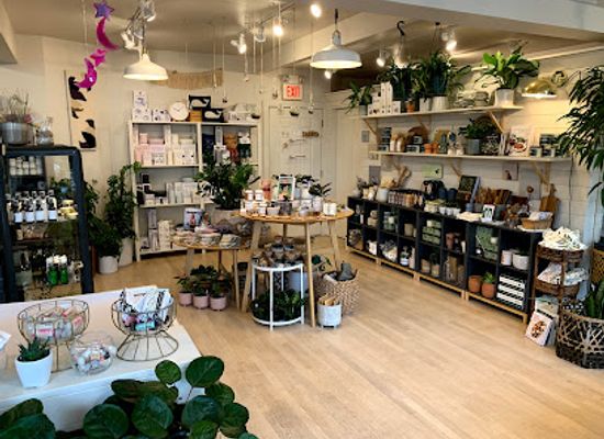 massachusetts/salem/shop/oak-moss