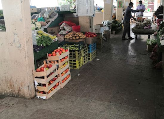 oman/dhofar-region/shop/salalah-fish-market