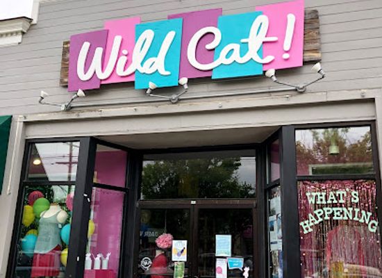 ohio/central-ohio/shop/wild-cat-gift-party-formerly-wholly-craft