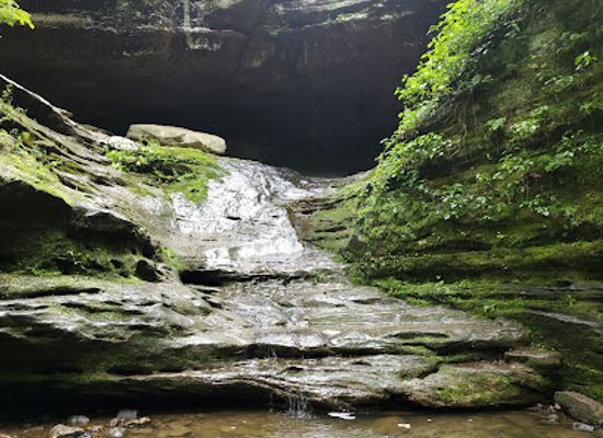 illinois/ferne-clyffe-state-park/shop/ferne-clyffe-waterfall-trail