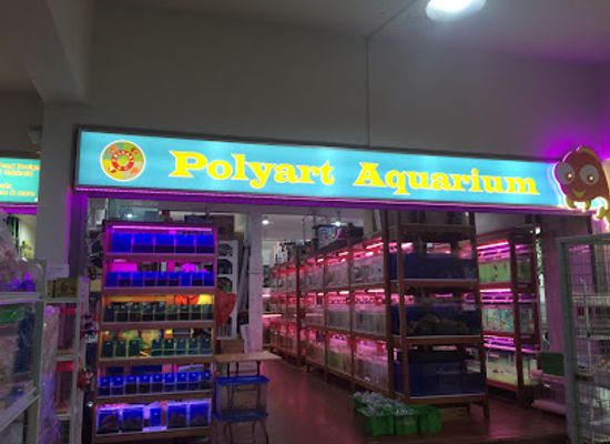 singapore/bukit-batok/shop/polyart-aquarium-bukit-batok
