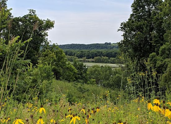 iowa/tallgrass-prairie/shop/casper-bluff-land-water-reserve