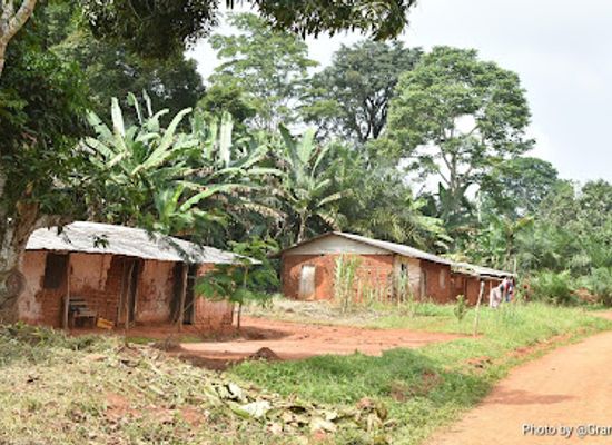 cameroon/dja-faunal-reserve/shop/buvette-de-nkolbembe-zambe