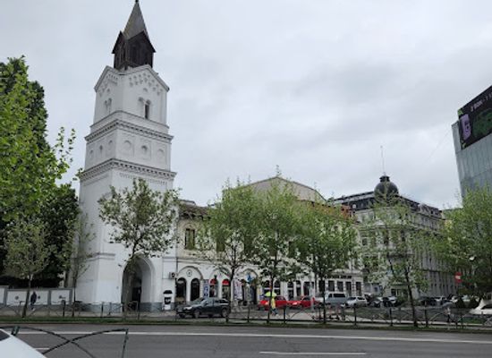romania/dobruja/shop/cocor