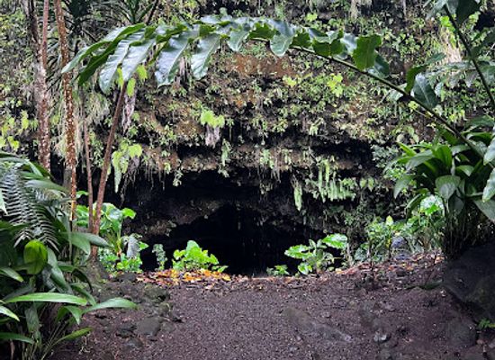 french-polynesia/windward-islands/shop/grottes-de-mara-a