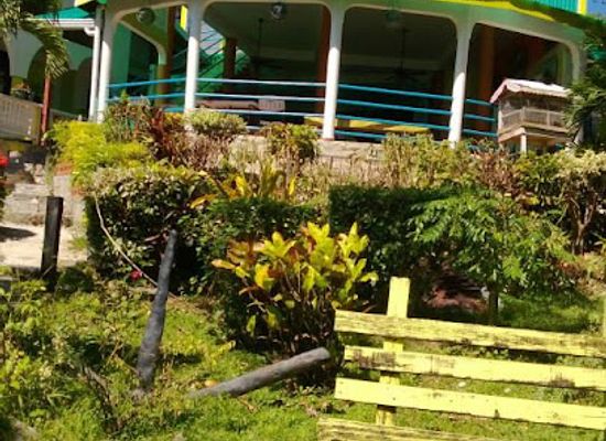 trinidad-and-tobago/aripo-caves/shop/genesis-nature-park-art-gallery