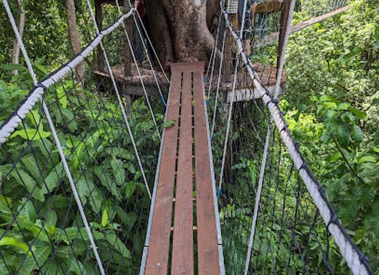 tanzania/rift-valley/shop/lake-manyara-treetop-walkway