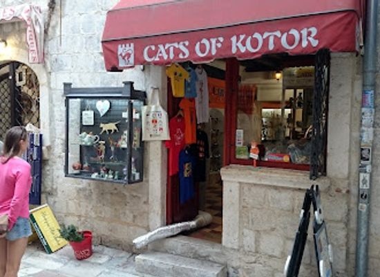 montenegro/kotor-bay/shop/cats-of-kotor