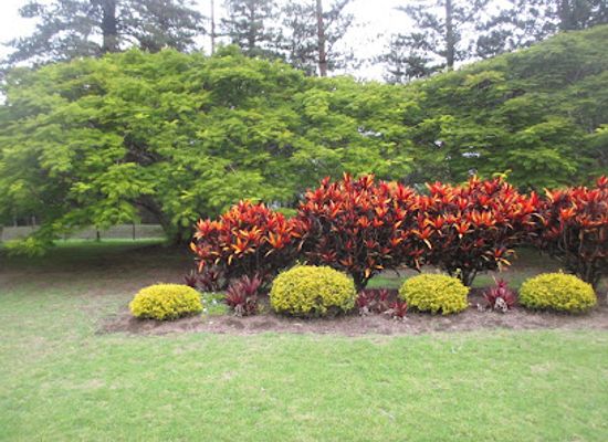 norfolk-island/queen-victoria-s-garden/shop/queen-victoria-s-garden-queen-victoria-memorial-gardens