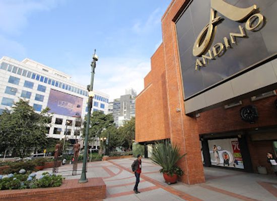 colombia/amazon/shop/andino