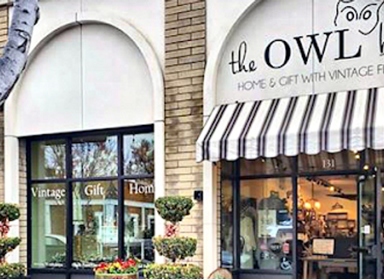 california/tracy/shop/the-owl-box
