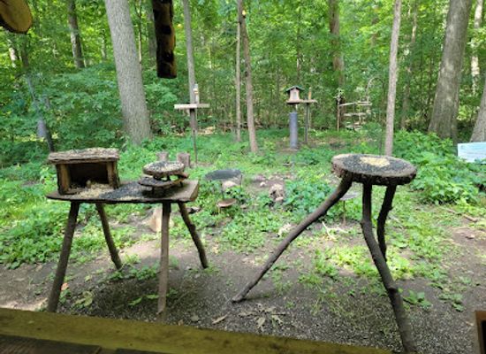 indiana/pokagon-state-park/shop/pokagon-state-park-nature-center