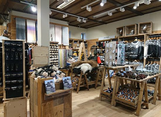 iceland/reykjavik/vesturbar/shop/polarbear-gift-store