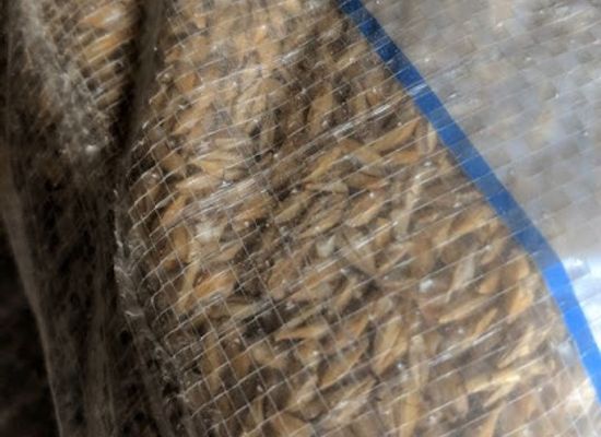 malta/mgarr/shop/vella-wholesalers-ta-bakkar