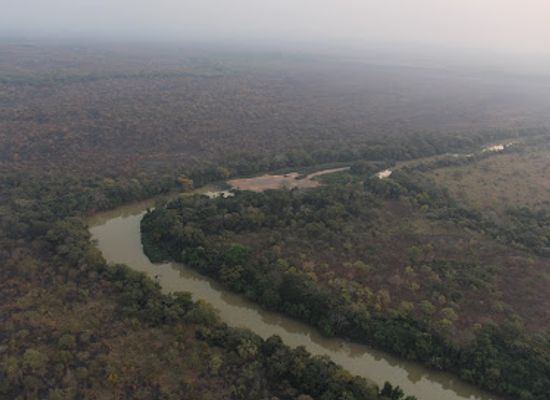 central-african-republic/carnot/shop/chinko-nature-reserve