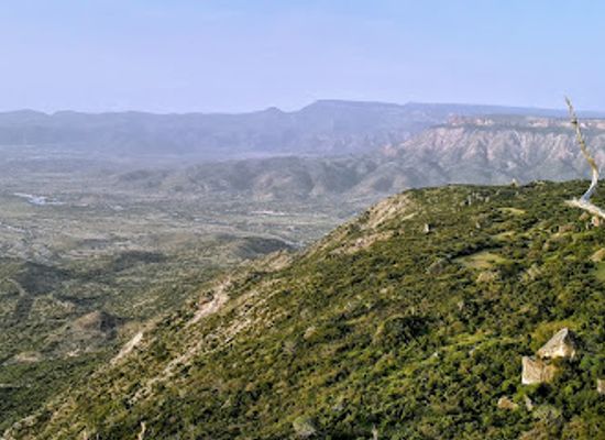 somalia/golis-mountains/shop/golis-mountains