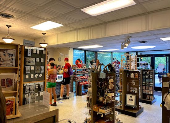 arkansas/hot-springs/shop/hot-springs-mountain-tower