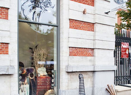 belgium/dyle-valley/shop/house-of-wunders-brussels