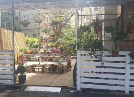 israel/haifa/bat-galim/shop/prkhy-glym