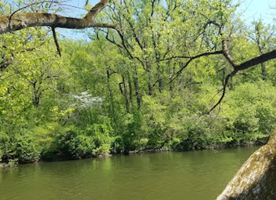 delaware/brandywine-creek-state-park/shop/brandywine-creek-state-park-hawk-watch