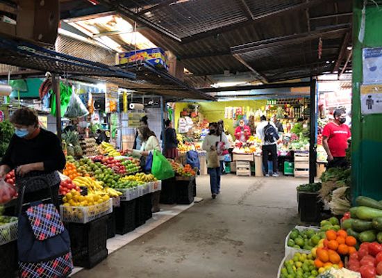 chile/iquique/shop/el-agro