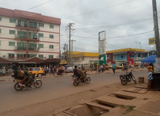 cameroon/grassfield-region/shop/international-center-of-online-learning-for-sustainable-development