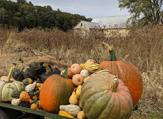 vermont/orange-county/shop/farmer-hodge-s-roadside-stand