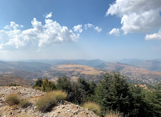 lebanon/al-shouf-cedar-nature-reserve/shop/shouf-biosphere-reserve-bmahray-ain-zhalta-forest