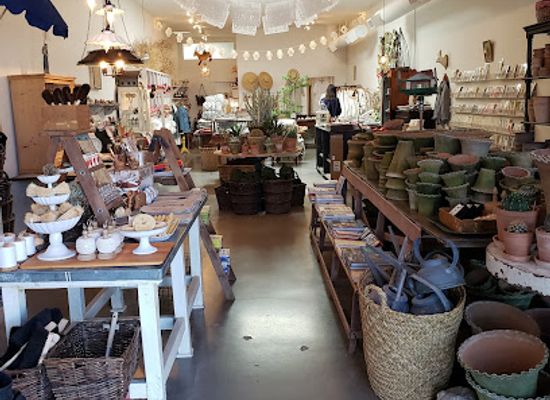 arizona/tucson/barrio-viejo/shop/bon