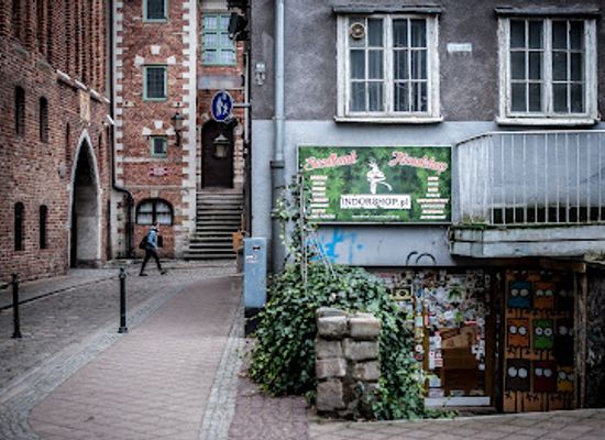 poland/gdansk/shop/indorshop-pl