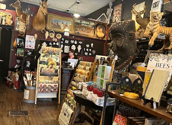 ohio/cleveland/shop/cleveland-curiosities