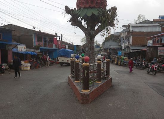 nepal/koshi-zone/shop/tinjure-electronics
