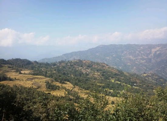 nepal/koshi-zone/shop/d-p-s-hotel-shop