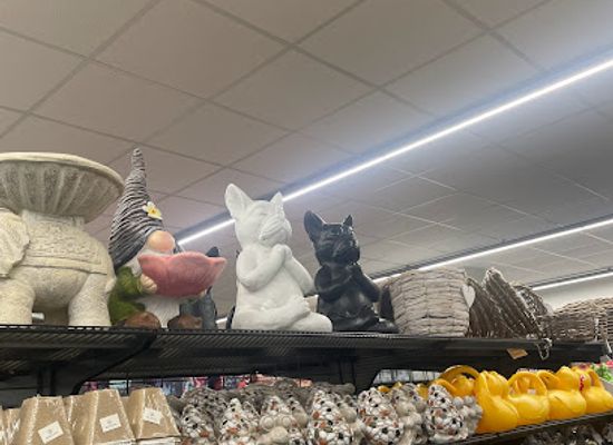 poland/tarnow/shop/tedi