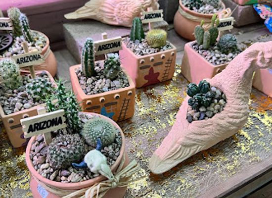 arizona/organ-pipe-cactus-national-monument/shop/the-cactus-shoppe