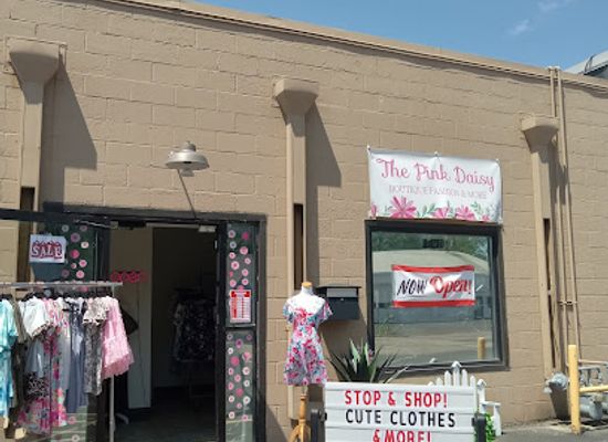 wisconsin/eau-claire/shop/the-pink-daisy-llc
