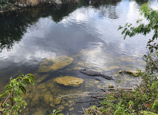 florida/big-cypress-national-preserve/shop/big-cypress-oasis-visitor-center