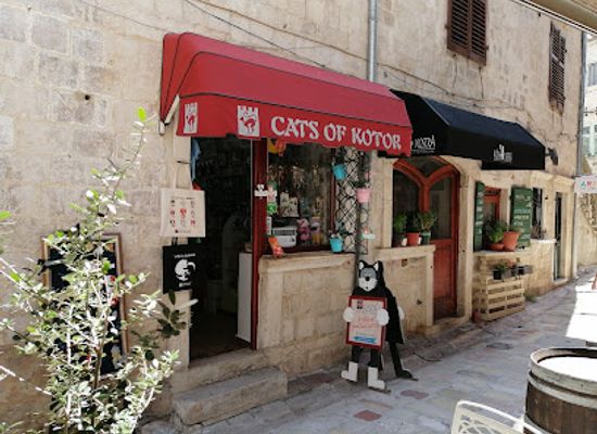 montenegro/old-herzegovina/shop/cats-of-kotor