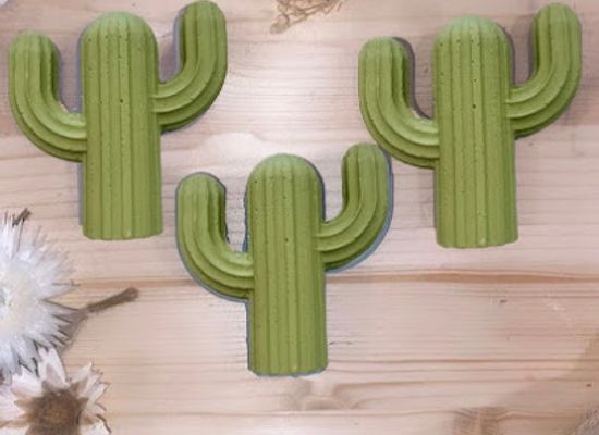 arizona/tucson/shop/arizona-gifts