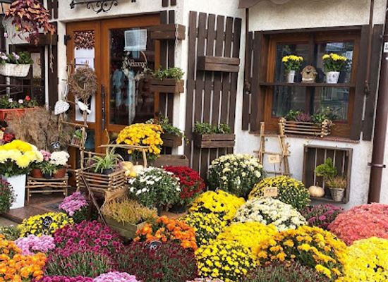 ukraine/lutsk/shop/flowershop-lutsk