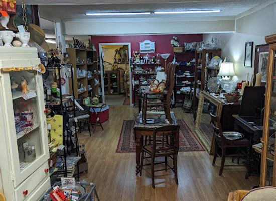 arkansas/russellville/shop/nest