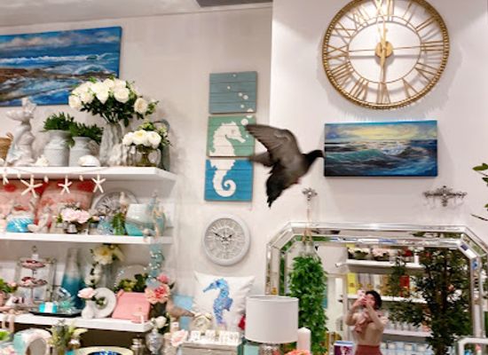 australia/sydney-basin/shop/lillianna-home-and-gifts-haymarket