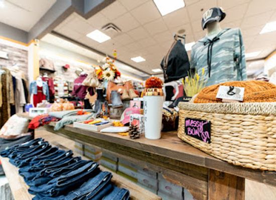 montana/gallatin-canyon/shop/apricot-lane-boutique