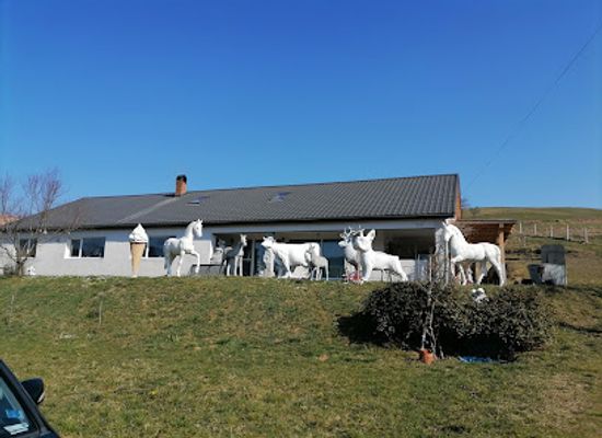 romania/baia-mare/shop/art-angelo