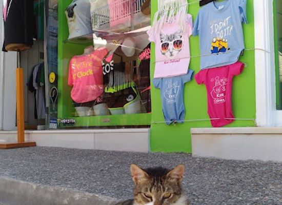 greece/kos/kardamena/shop/printalicious