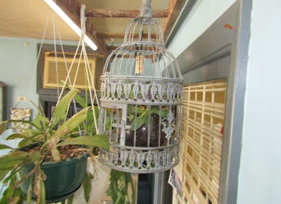 nebraska/fremont/shop/triple-r-restorations-boutique