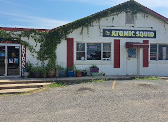 arkansas/russellville/shop/electric-moo